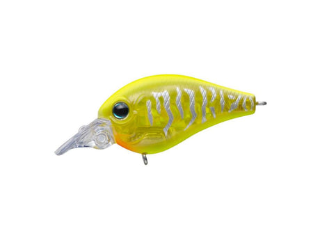 Evergreen Piccolo Dive Shallow