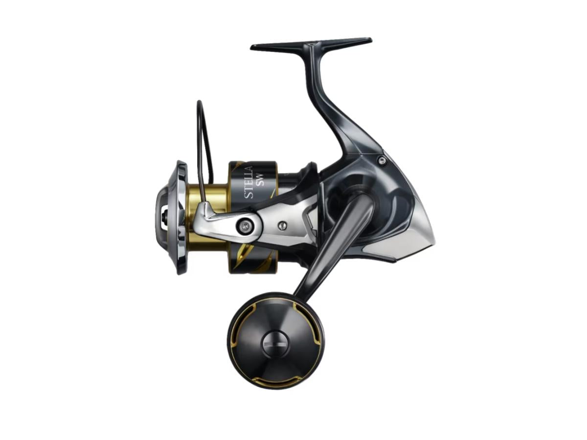 Shimano 25 Stella SW 6000HG