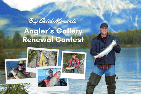 The Angler’s Gallery is Renewed, and We’re Celebrating with a Contest!
