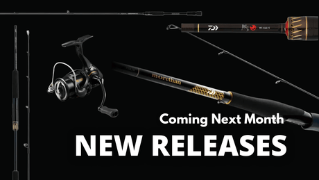 Coming This September: New Products